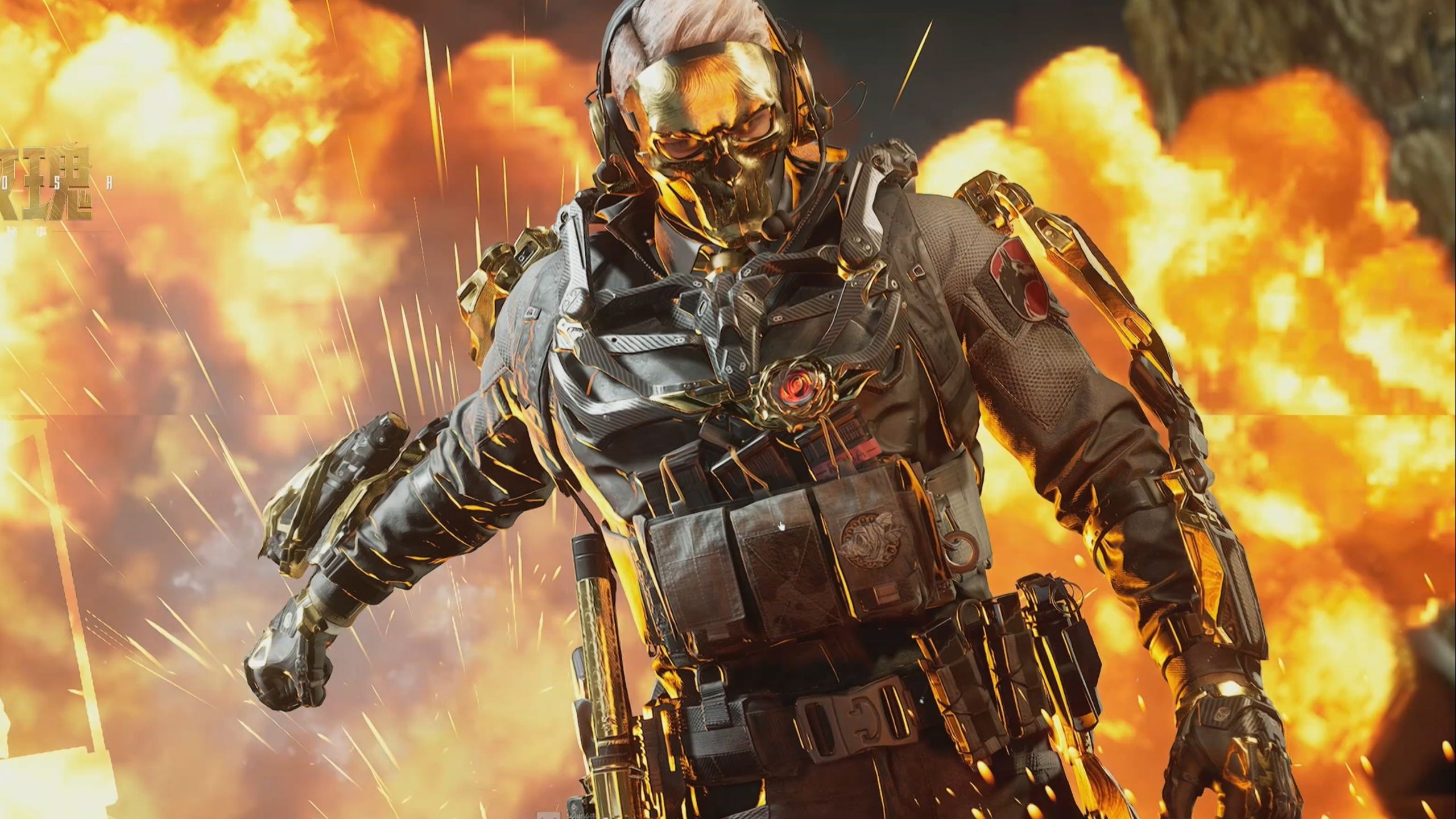 各项目中不 各项目中不