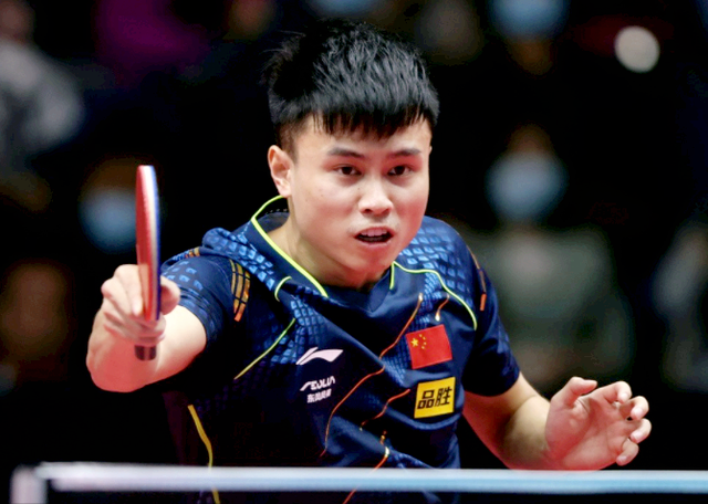 球迷们可以 球迷们可以