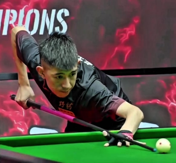 塔比莎的职 塔比莎的职